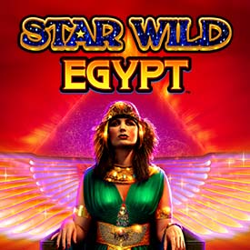 Star Wild Egypt