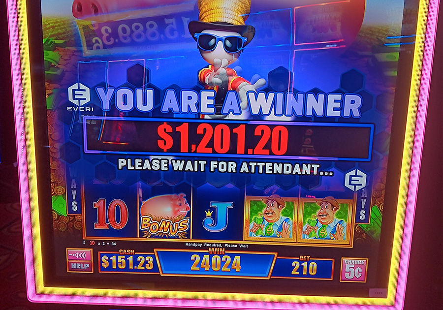 New Winner 1201